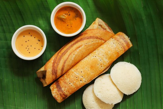 homemade south indian meals in canada