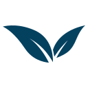 homemade south indian meals in canada